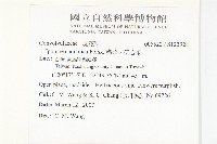 甕菜、空心菜藏品圖，第2張