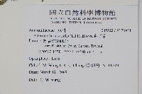 蓮子草藏品圖，第2張