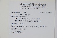 向天黃藏品圖，第2張