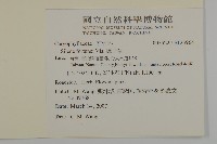 蠅子草藏品圖，第2張