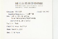 南美獨行菜藏品圖，第2張