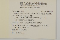 金鈕釦藏品圖，第2張