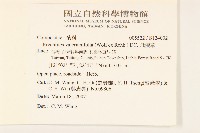 飛機草藏品圖，第2張