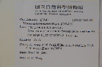 紅子莢迷藏品圖，第2張