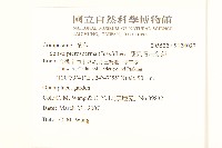 翅果假吐金菊藏品圖，第2張