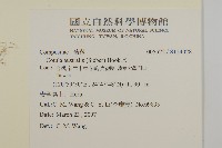 南方山芫荽藏品圖，第2張