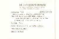 翅果假吐金菊藏品圖，第2張