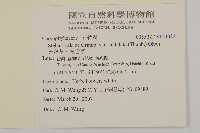 天蓬草、雀舌草藏品圖，第2張