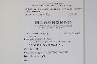 日本水馬齒藏品圖，第2張