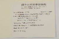 瓜槌草、漆姑草藏品圖，第2張