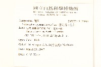 翅果假吐金菊藏品圖，第2張