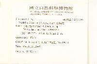 蟛蜞菊藏品圖，第2張