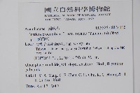 早田氏爵床藏品圖，第2張