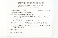 海牽牛藏品圖，第2張