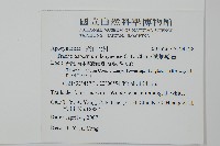 蘭嶼絡石藏品圖，第2張