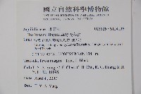 草野氏冬青藏品圖，第2張