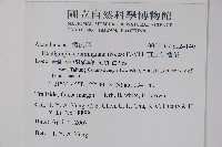 直立半插花藏品圖，第2張