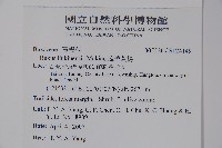 琉球黃楊藏品圖，第2張