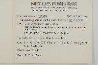 草珊瑚、紅果金粟蘭藏品圖，第2張