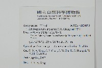 蘭嶼絡石藏品圖，第2張