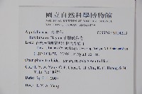 草野氏冬青藏品圖，第2張