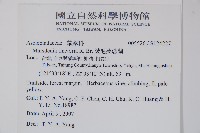 絨毛芙蓉蘭藏品圖，第2張