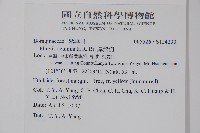 厚殼樹藏品圖，第2張