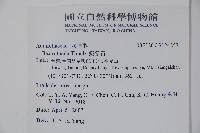 鐵冬青藏品圖，第2張