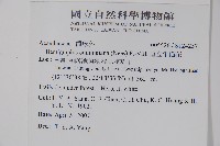 直立半插花藏品圖，第2張