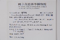 蘭嶼牛皮消、蘭嶼白薇藏品圖，第2張