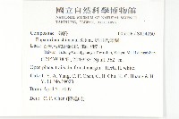 島田氏澤蘭藏品圖，第2張