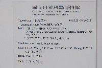 蘭嶼秋海棠藏品圖，第2張