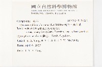 蘄艾、芙蓉菊藏品圖，第2張