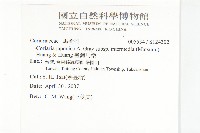 臺灣馬桑藏品圖，第2張