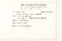 玉山飛蓬藏品圖，第2張