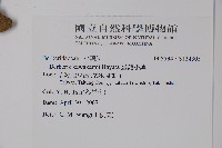 臺灣小蘗藏品圖，第2張