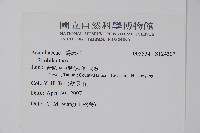蘭嵌馬藍藏品圖，第2張