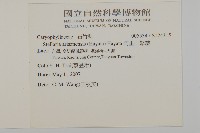 阿里山繁縷藏品圖，第2張
