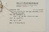 臺灣鬼督郵藏品圖，第2張