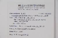 山桔梗藏品圖，第2張