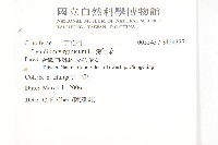 獨行菜藏品圖，第2張