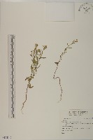 登錄號:S124342藏品圖，第1張