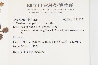 水花菜藏品圖，第2張