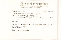 兔仔菜藏品圖，第2張