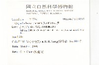 薺藏品圖，第2張