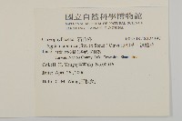 瓜槌草、漆姑草藏品圖，第2張