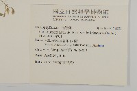 卷耳藏品圖，第2張