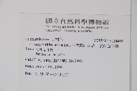 平伏莖白花菜、成功白花菜藏品圖，第2張