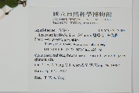 燈稱花、烏雞骨藏品圖，第2張