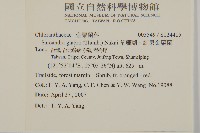 草珊瑚、紅果金粟蘭藏品圖，第2張